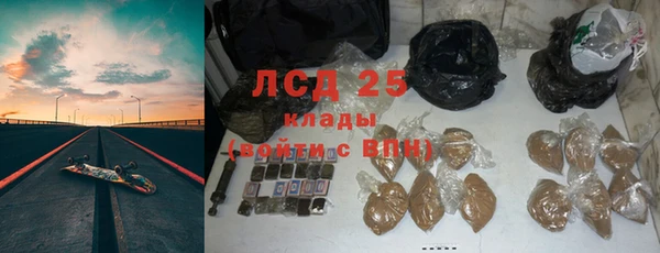 сатива Лагань
