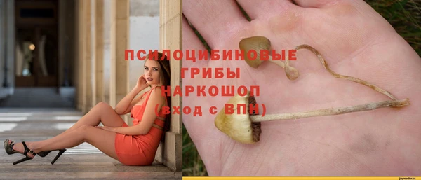 мяу мяу мука Ладушкин