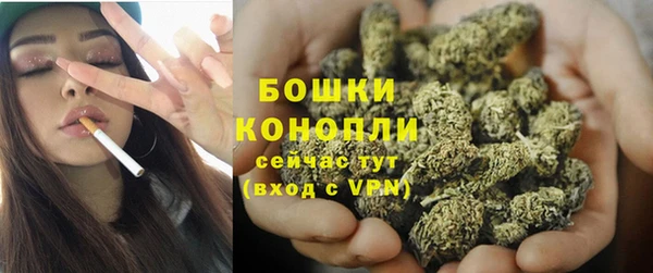 сатива Лагань
