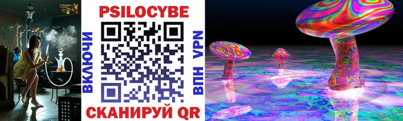Галлюциногенные грибы Psilocybine cubensis  Мезень 